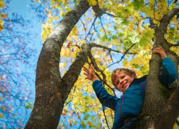 Is Going Barefoot Healthier for Your Kids?